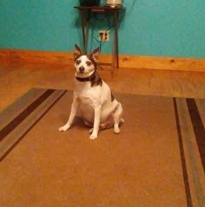 Meet your Posher, Sandy